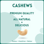 alcoeats Simply Salted Cashews -Premium Quality